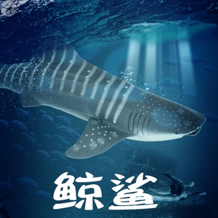 儿童仿真海洋玩具鲨鱼生物模型鲸鲨套装鲸鱼大白鲨动物独角鲸摆件