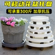 生长魔励树脂移动托盘花盘塑料底座万向轮花盆底托滚轮接水盘底盘