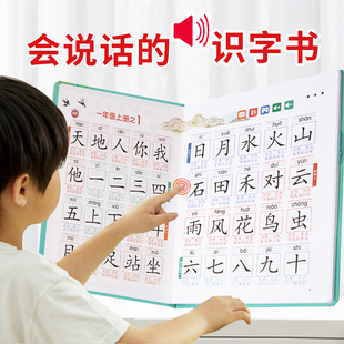 儿童识字发声书3000点读学习机卡片幼儿园一年级有声挂图认字大王