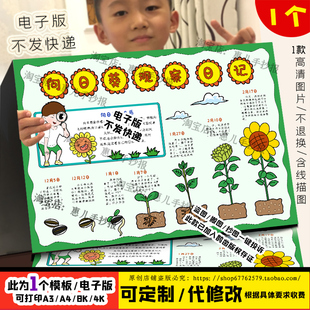 向日葵成长记手抄报植物生长记录小学生手绘涂色描线空白电子小报