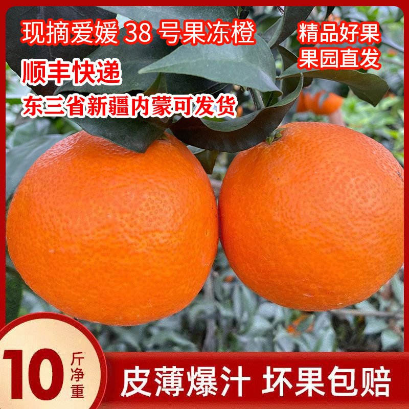顺丰爱媛橙10斤特大丹棱桔橙爱媛38号果冻橙四川应季新鲜水果整箱