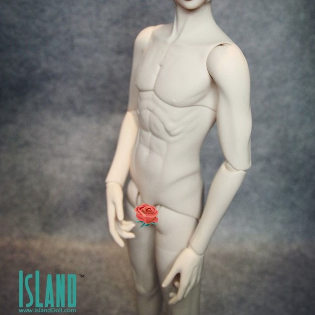 id岛社-1/3bjd/sd男娃娃身体3分二代素体 65cm新单体(不含头)