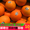 2020新果進口美國黑標橙3107黑標新奇士臍橙10只裝非4013水果包郵 2020新果進口美國黑標橙3107黑標新奇士臍橙10只裝非4013水果包郵