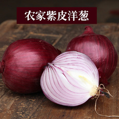 紫皮洋葱 农家自种蔬菜新鲜紫皮洋葱5斤装圆葱葱头非红葱葱头包邮