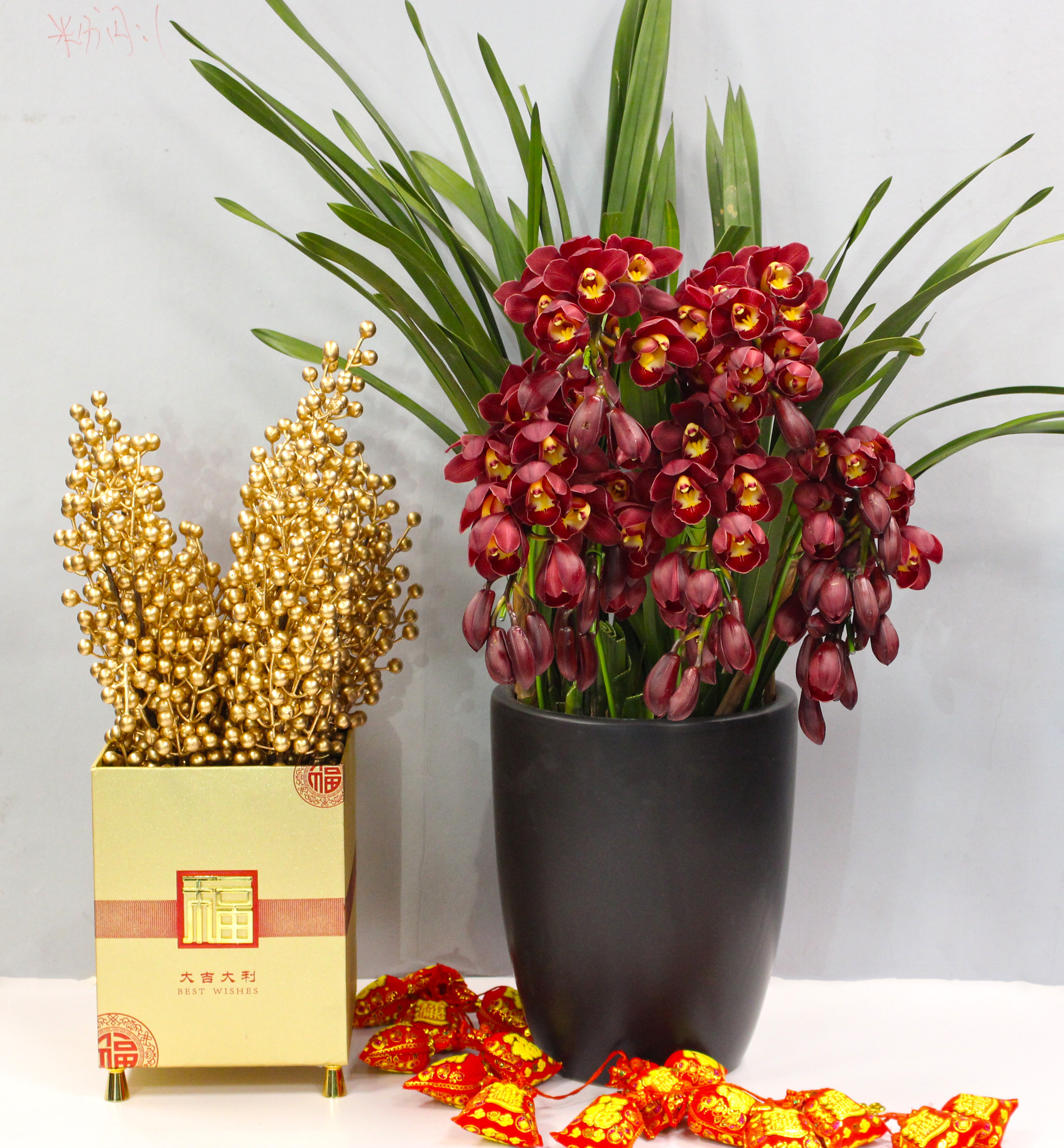 大花蕙兰拱兰室内盆栽精致礼品送礼年宵花