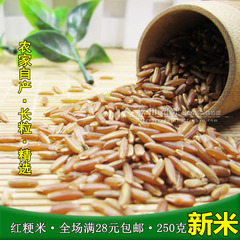 红米红粳米 农家天然长粒新糙米 非转基因 250克全胚芽大米红糙米