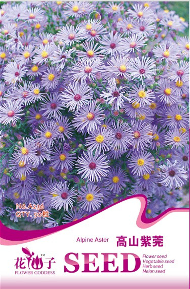 魂花仙子