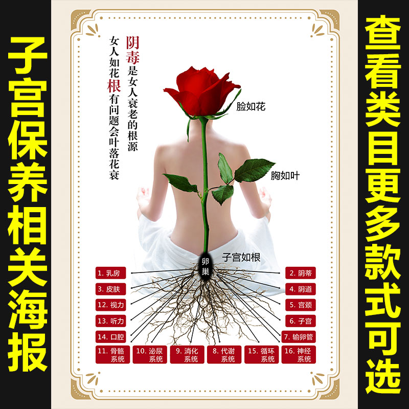 暖宫养巢卵巢养护装饰画身体保养海报挂女性子宫护理壁画911