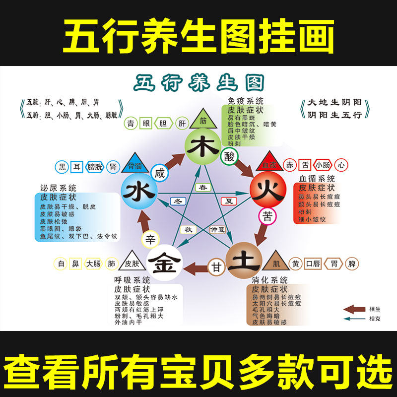 经络图_美容院海报图片挂图宣传画中医经络养生会所装饰五行养生优惠
