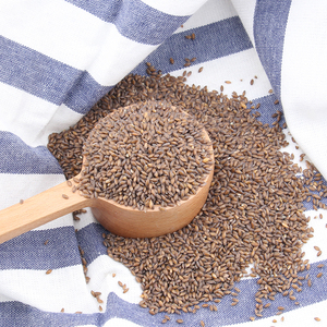 黑金谷 五谷杂粮 粗粮 粮食 食品食材 农家特产血钻野燕麦 500g