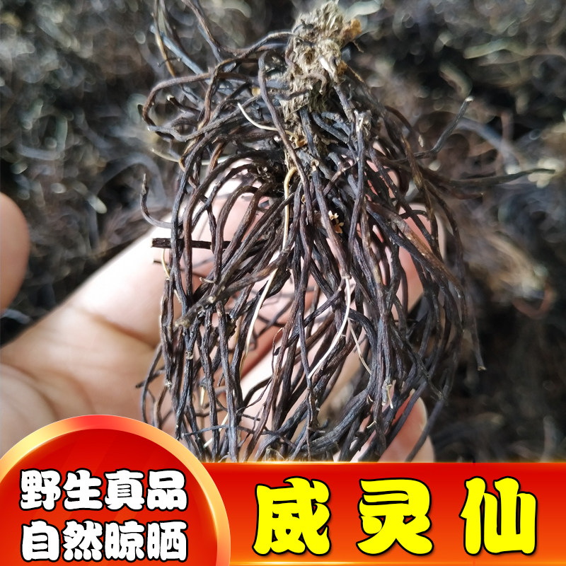 东北辽宁纯野生中草药材铁脚威灵仙铁线莲山辣椒秧根500g克包邮