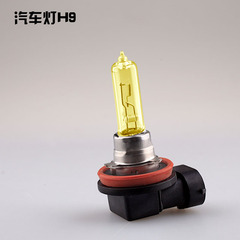 氙气卤素灯H9 汽车灯12V 65W 黄金光 白光 汽车外 灯泡改装配件