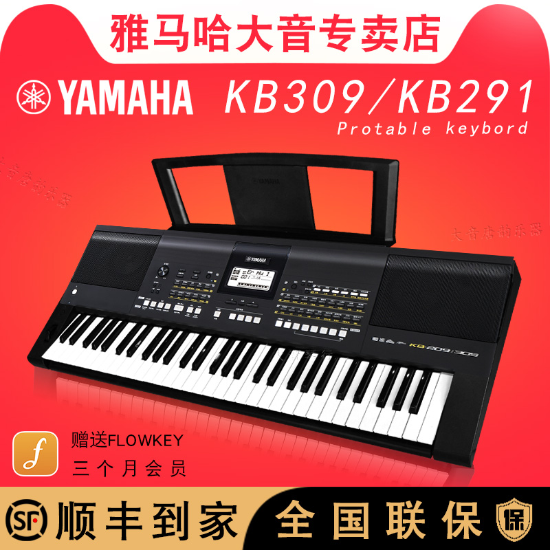 雅马哈电子琴KB309 KB291 儿童考级成人61键中国音色