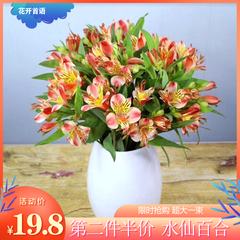 鲜花云南直发水仙百合花家庭装饰新鲜花束一扎六出花空运包邮昆明|ruв категории доставка цветов/цветок моделирования/растения садоводства, доставка цветов (город) - от Buy2taobao.com для оказания профессиональной услуги покупки агента Taobao