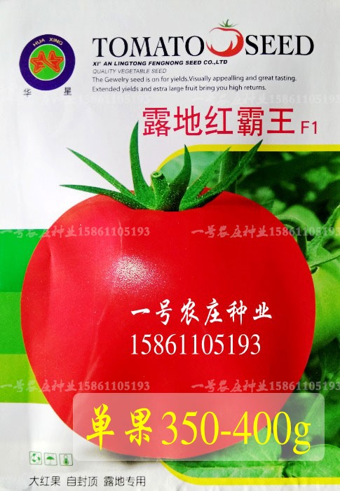 露地红霸王大番茄 西红柿 蔬果菜种 阳台种菜 盆栽 庭院种植菜籽