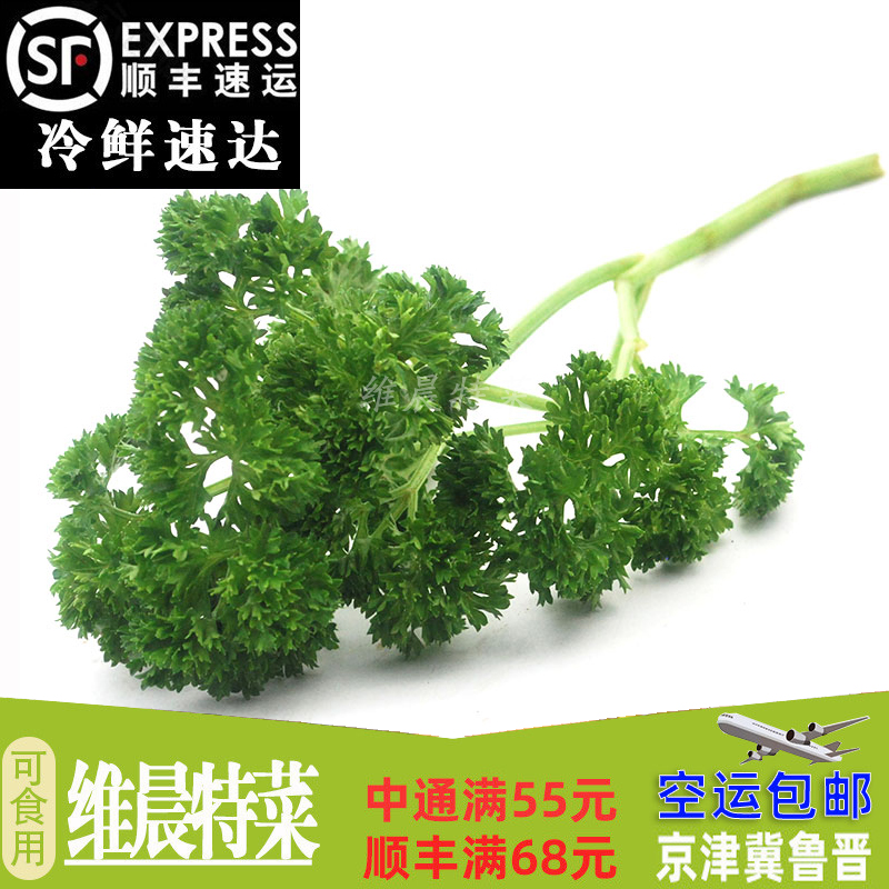 荷兰芹 新鲜西餐摆盘蔬菜 蕃茜 洋芫荽 法香/250g