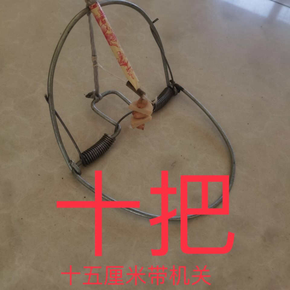 10只装老鼠夹子灭鼠笼捕鼠器新款圆形鼠夹铁质夹子老鼠耗子老夹子