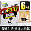 Green leaf Rat Sticky mouse board Mousetrap Catch squirrel Mouse glue Mouse household A nest Green leaf Rat Sticky mouse board Mousetrap Catch squirrel Mouse glue Mouse household A nest