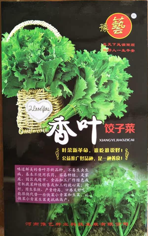 香叶饺子菜豫艺种业叶菜种子香味浓的品质好秋冬春1500粒厂家直销