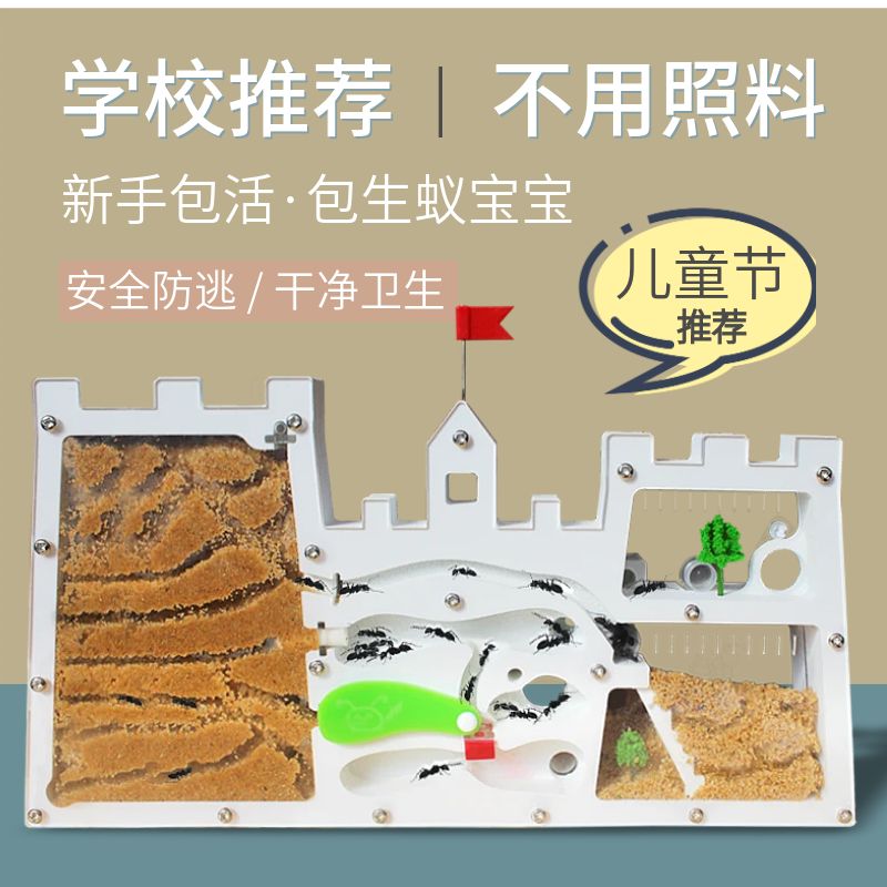 正品蚂蚁城堡蚂蚁工坊送收获蚁后学生观察生态箱蚁巢室屋庄园家园