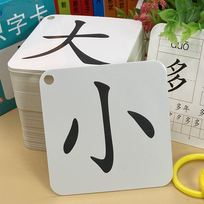 识字卡片3000字幼儿园学龄前儿童宝宝早教启蒙认知象形看图认字卡