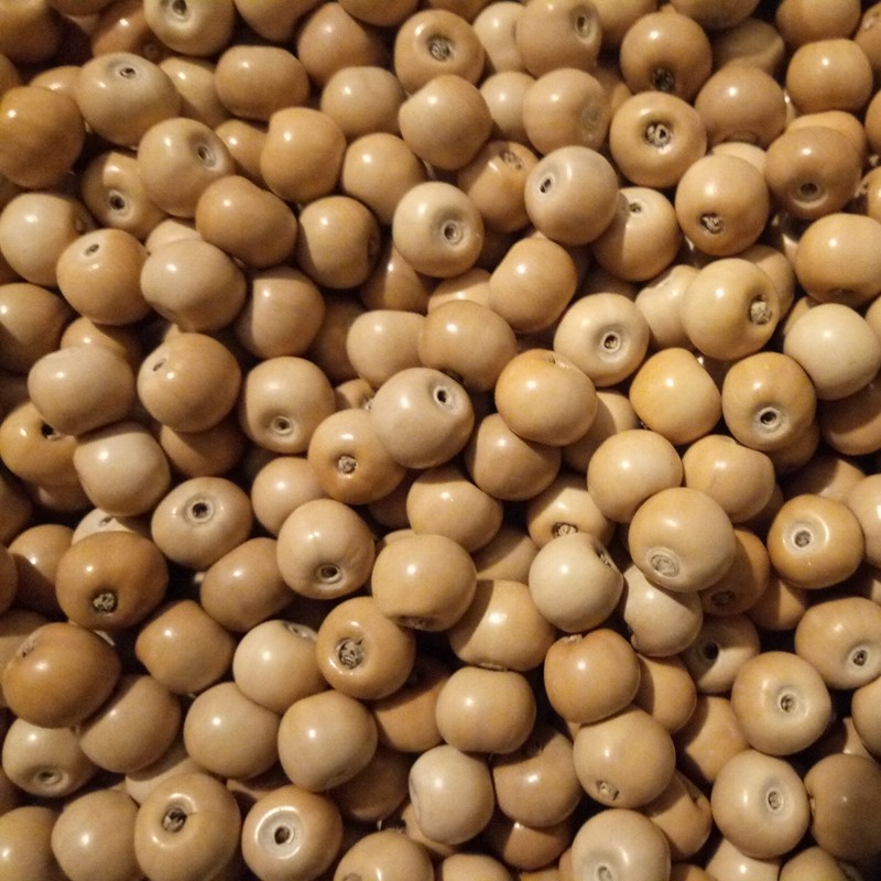 草珠坊草珠子矮桩手串珠散籽称斤5遍挑选少量微瑕疵