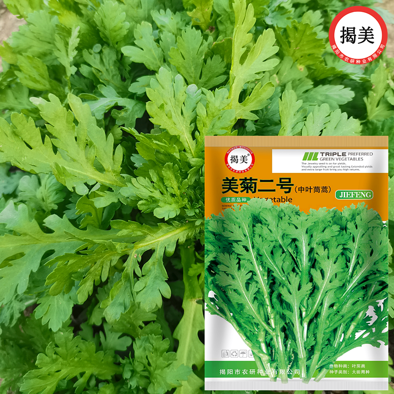 揭美美菊二号中叶茼蒿种子 中叶皇帝菜种子 原厂彩袋包装20克装