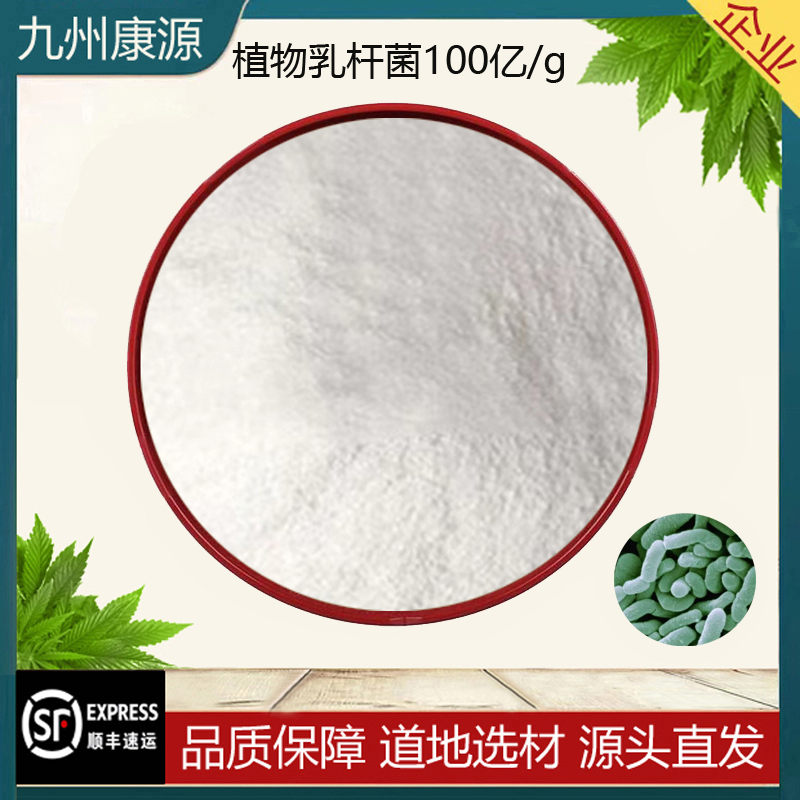 植物提取物 植物乳杆菌100亿/g冻干益生菌 原料精华粉末调理肠胃