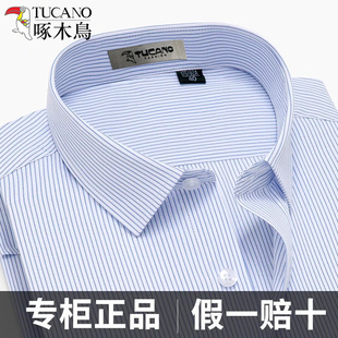 啄木鸟蓝色条纹衬衫男士长袖短袖新款商务正装职业中青年棉白衬衣