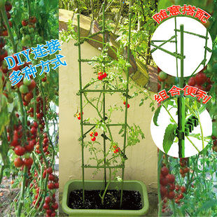 阳台花架西红柿番茄子辣椒爬藤植物支架户外菜园种植盆栽支撑架子