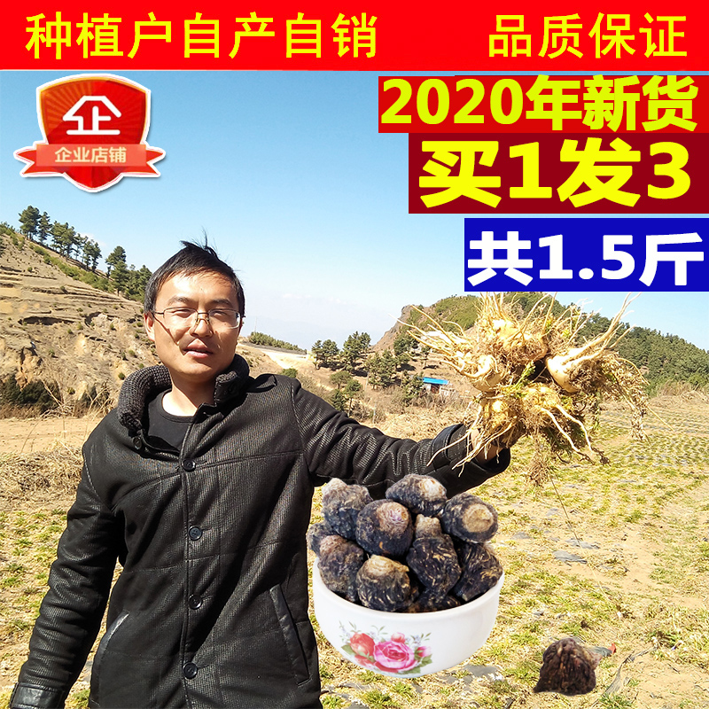 黑玛卡干果云南马玛咖片粉丽江滋补马卡吗咔农家野生泡水茶泡酒料在类目 传统滋补营养品, 其他传统滋补品, 玛咖干中 - 来自Buy2taobao.com提供专业的淘宝代购服务