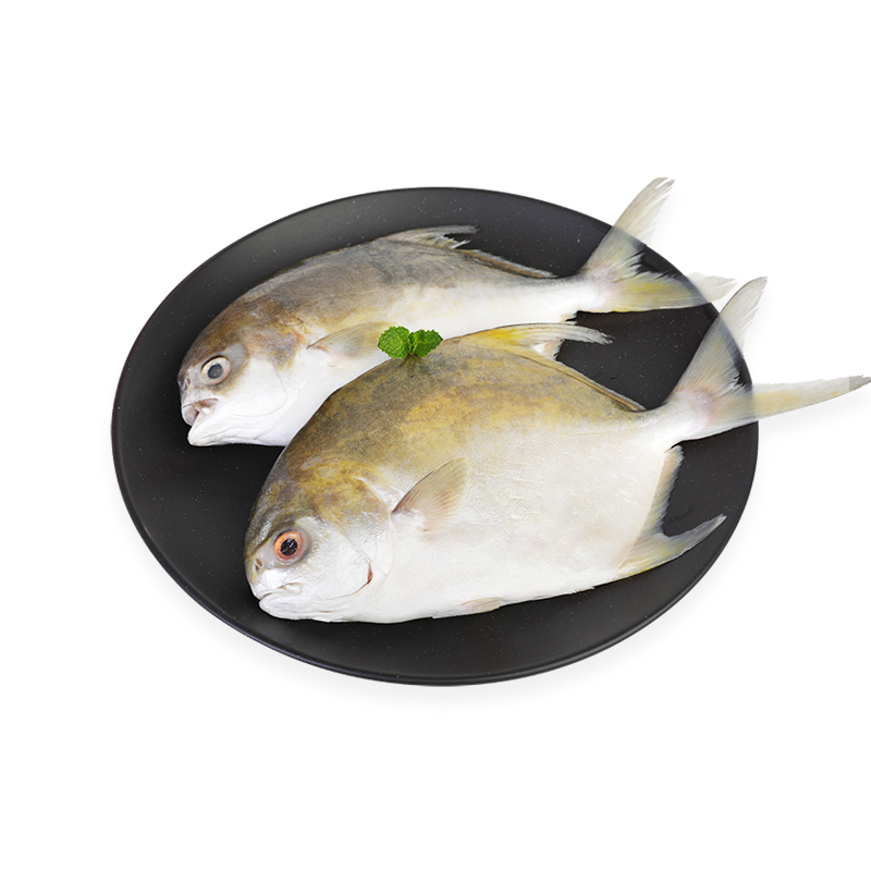 天猫超市的优惠券大全—解冻金鲳约600g/盒