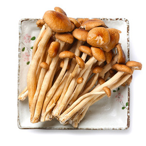 茶树菇新鲜鲜菇图片