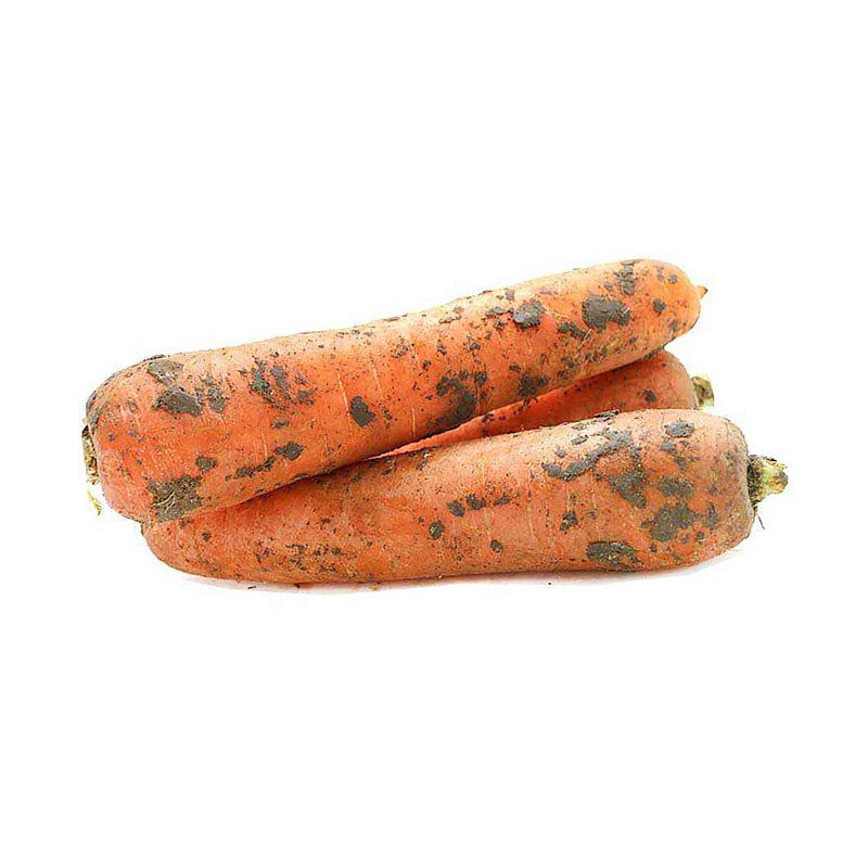 萝卜-特价促销-优惠券领取-价格|多少钱|什么牌子好-35优惠券网站