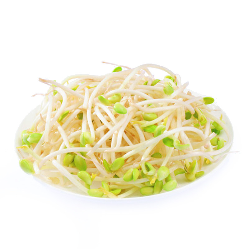 菜博士绿豆芽350g/包