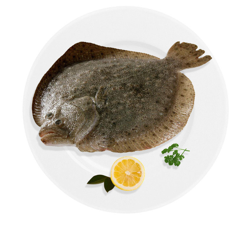 多春鱼(新)大全——其他用品