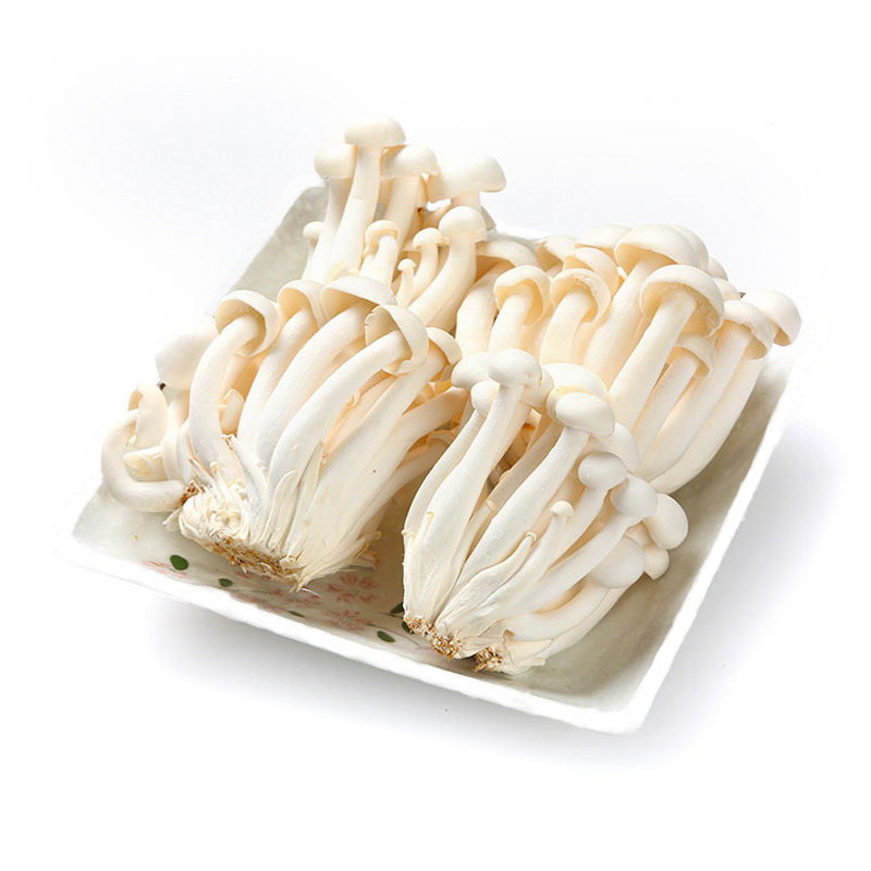 白玉菇150g/份新鲜菌菇外形圆润