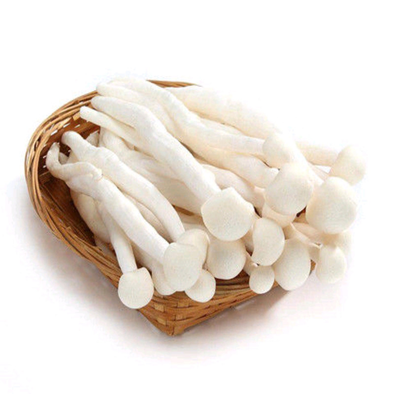 天猫超市的优惠券大全—优选海鲜菇250g/份