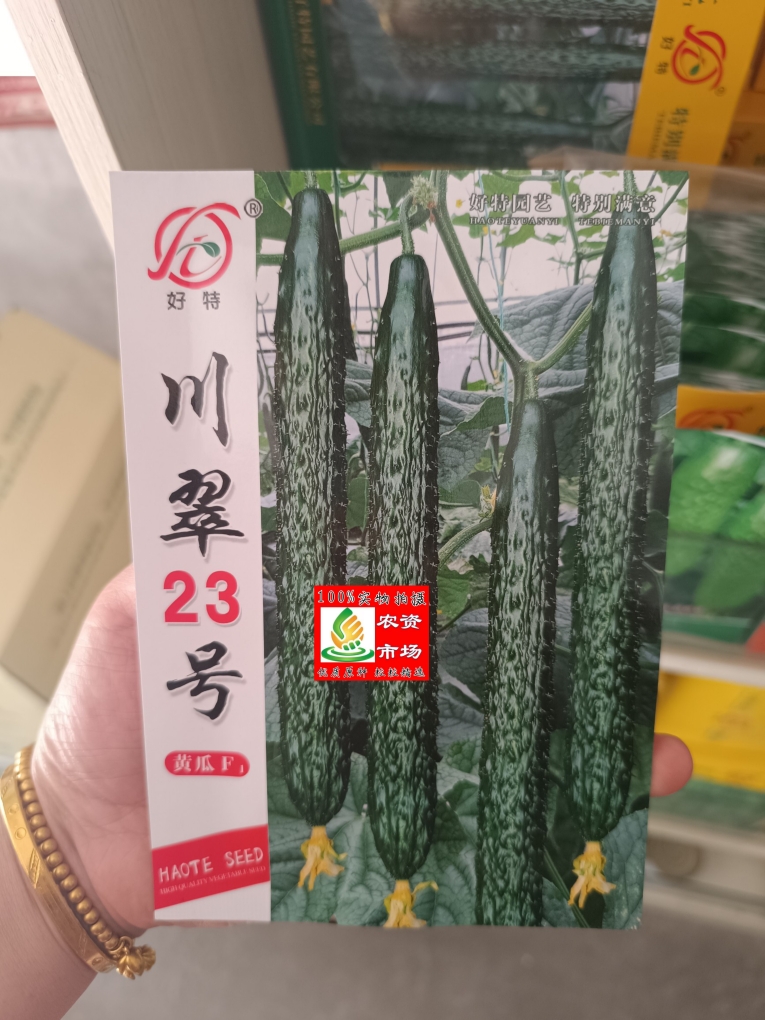 四川好特川翠23号油亮型密刺黄瓜种子F1早熟耐高温深绿色青瓜抗病