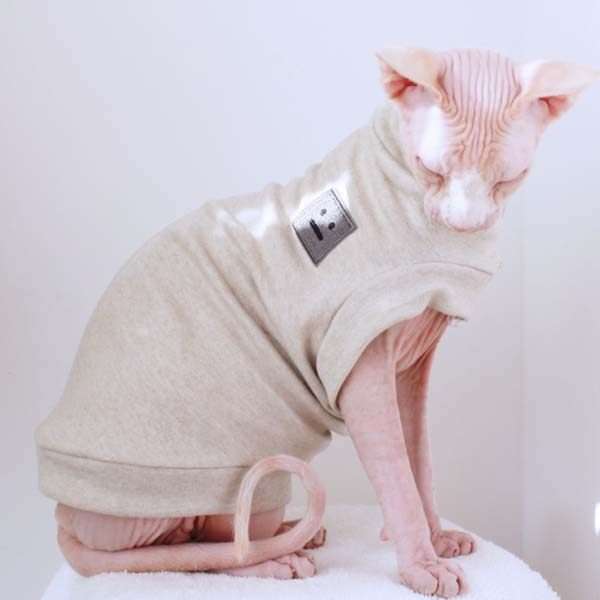 无毛猫衣服定制纯100%棉彩棉小猫高档斯芬克斯猫咪衣服用品撸猫服