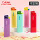 进口草蜢cricket正品五色一次性滑轮砂轮式打火机广告定制做印字