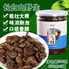 买2送1蒲公英根茶头端粗壮大根500克罐婆婆丁泡上饮长白山4年叶|ru 买2送1蒲公英根茶头端粗壮大根500克罐婆婆丁泡上饮长白山4年叶|ru