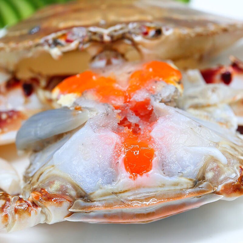 春季三斤肥肉母梭子蟹深海大母蟹飞蟹大飞当天海捕急冻包邮