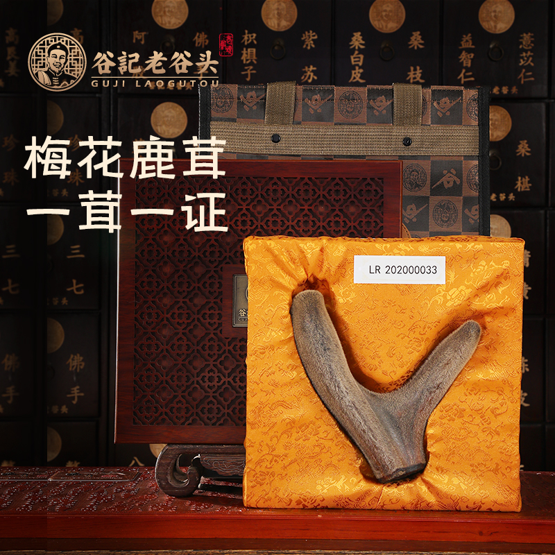 [Deliver goods Jilin Plum blossom Antler Pruning Sell Two bars Dry antler winein the Traditional nourishing food , Antler , Antler sticks category - from Buy2taobao.com to provide professional Taobao agent buy service