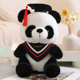 可爱博士熊猫玩偶毛绒玩具公仔儿童布娃娃学生毕业礼物男女生同学