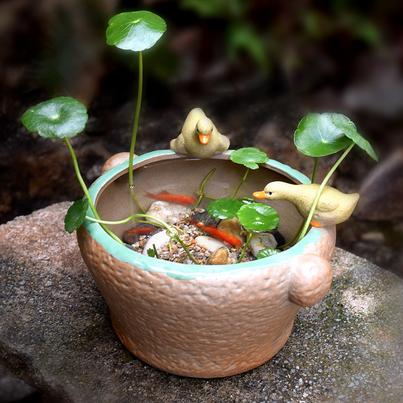 素烧铜钱草水培花盆粗陶无孔水养碗莲睡莲陶瓷缸创意多肉植物盆栽