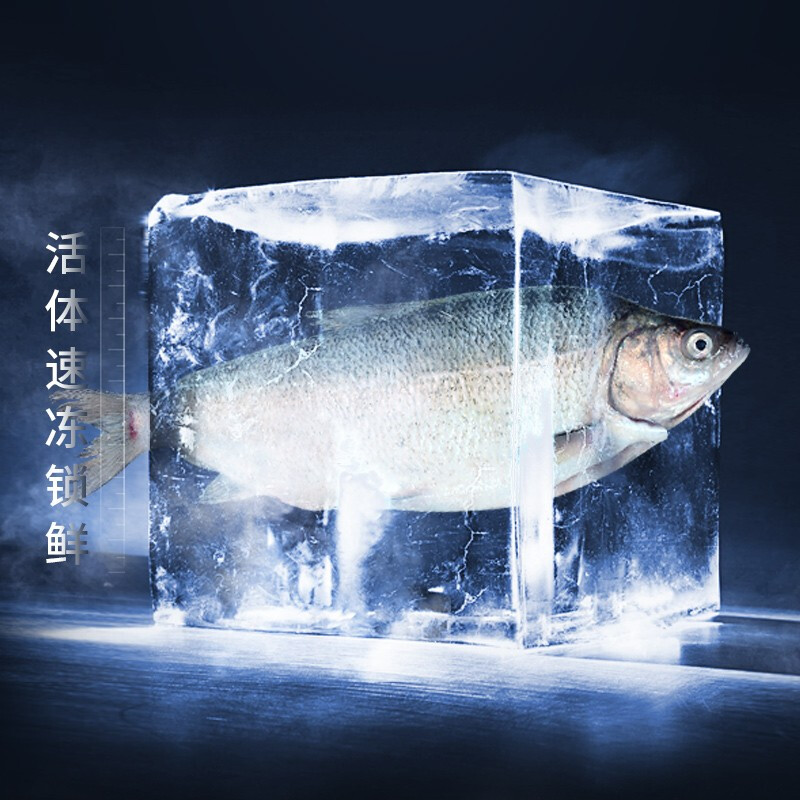 新疆赛里木湖冷水高白鲑鱼活体冷冻锁鲜淡水鱼有机水产鱼包邮