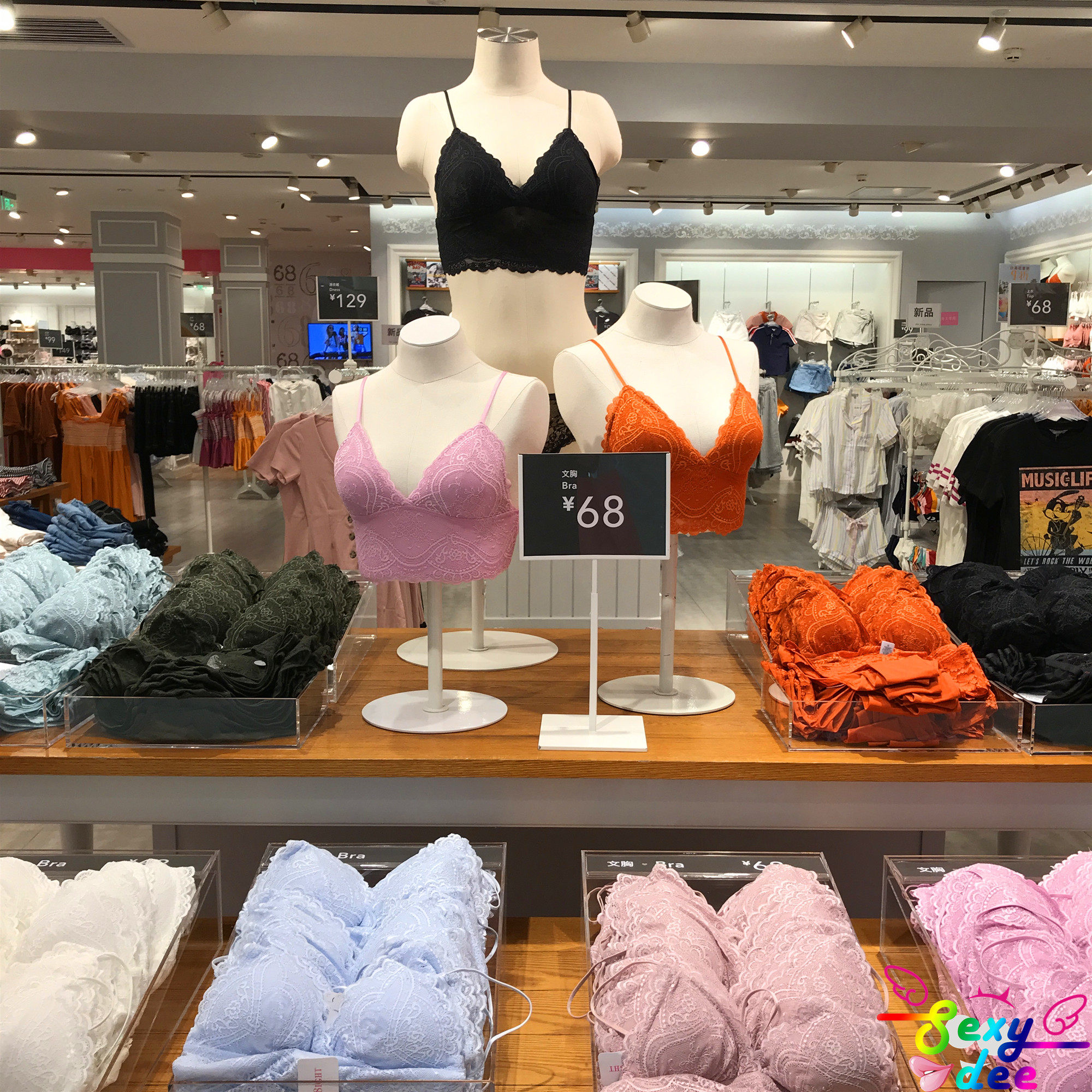 限时特价6ixty8ight专柜正品蕾丝性感无钢圈吊带文胸内衣br03874