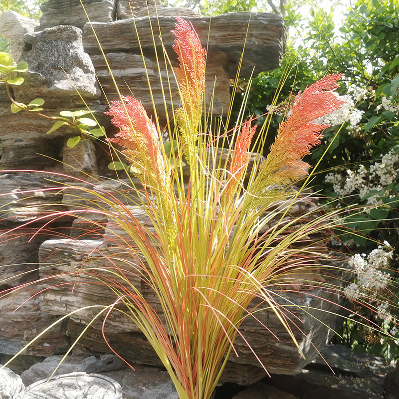 仿真干花束高粱客厅装饰北欧ins风摆设落地芦苇草大型植物假花草