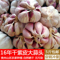 2016年新紫皮大蒜 干大蒜头 贵州山区农家种植无污染健康食品500g